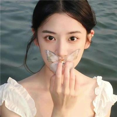 火凤燎原第二季